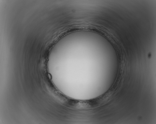 X0000116460270200912090934