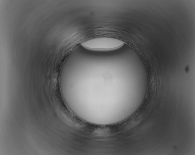 X0000116460271200912090934