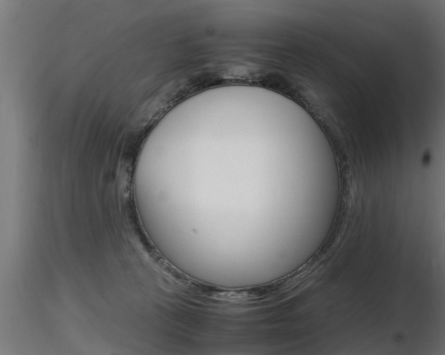 X0000116460273200912090934