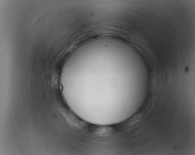 X0000116460274200912090934