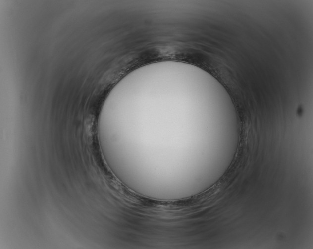 X0000116460275200912090934