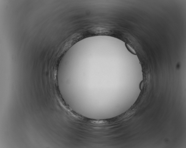 X0000116460281200912090934