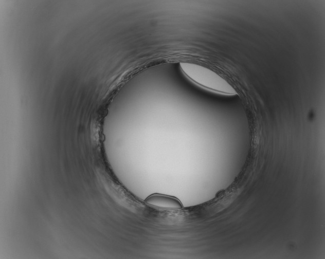 X0000116460282200912090934