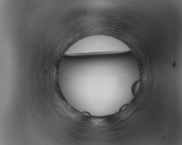 X0000116460283200912090934