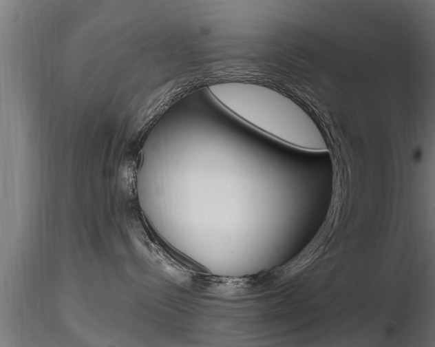 X0000116460288200912090934