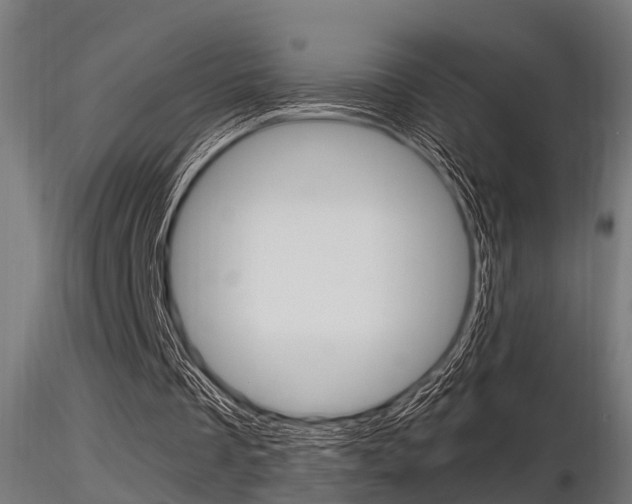 X0000116460289200912090933
