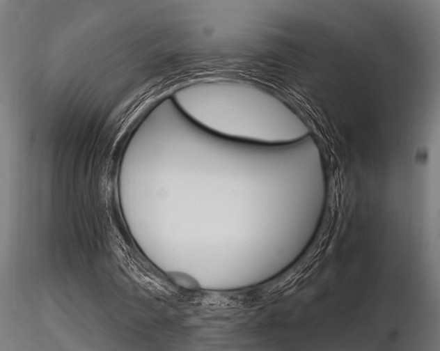 X0000116460290200912090933
