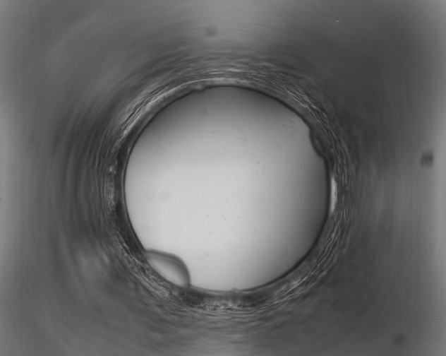 X0000116460291200912090933