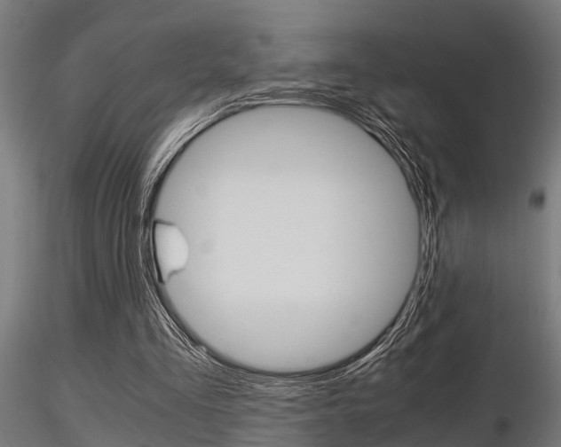 X0000116460293200912090933