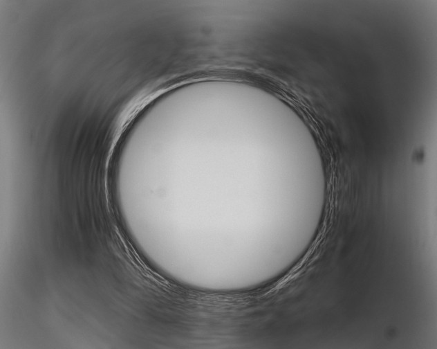 X0000116460294200912090933