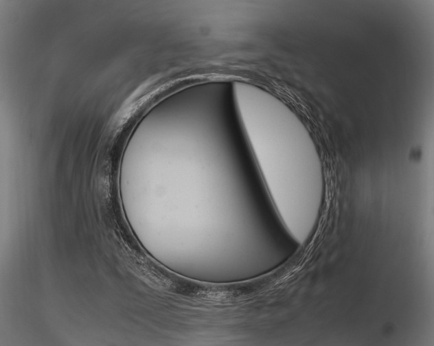 X0000116460295200912090933