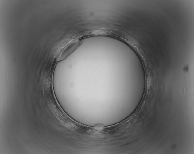 X0000116460297200912090933