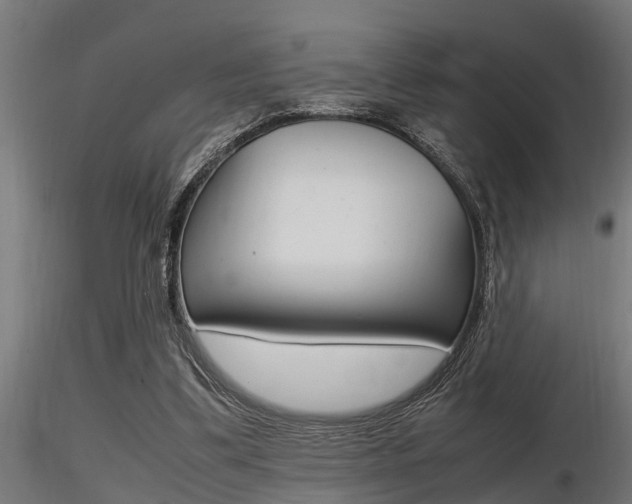 X0000116460299200912090933