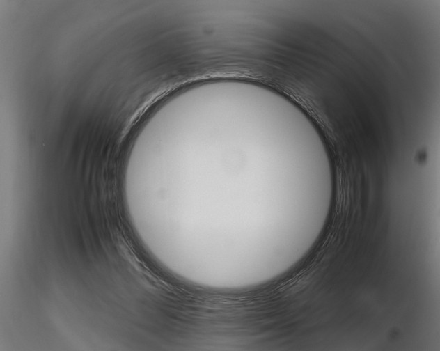 X0000116460300200912090933