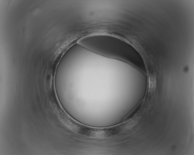 X0000116460301200912090933