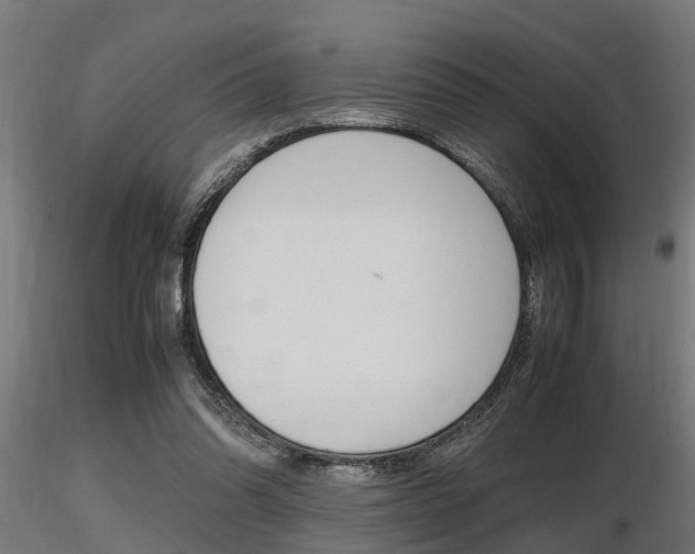 X0000116460302200912090933