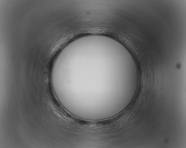 X0000116460303200912090933