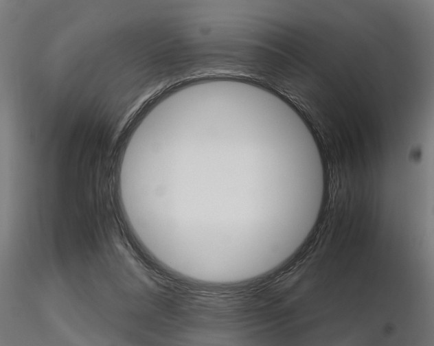 X0000116460304200912090933