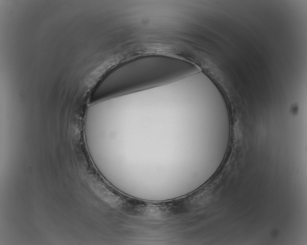 X0000116460305200912090933