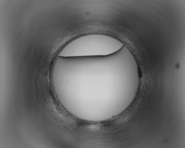 X0000116460306200912090933