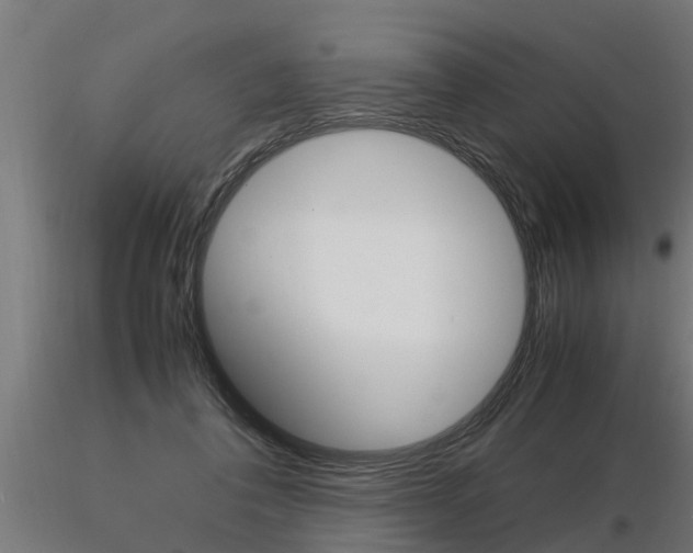 X0000116460308200912090933