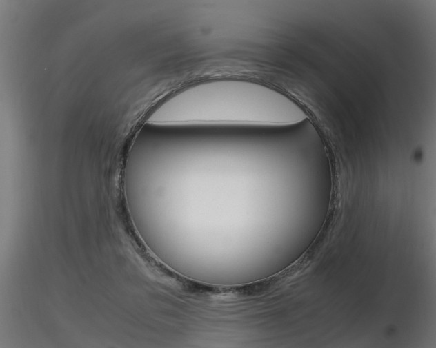 X0000116460309200912090933