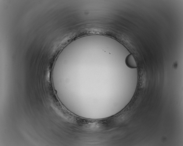 X0000116460310200912090933