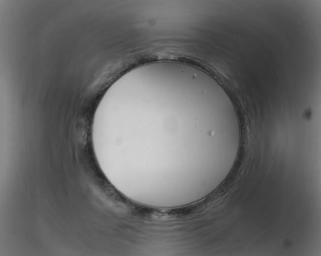 X0000116460311200912090933