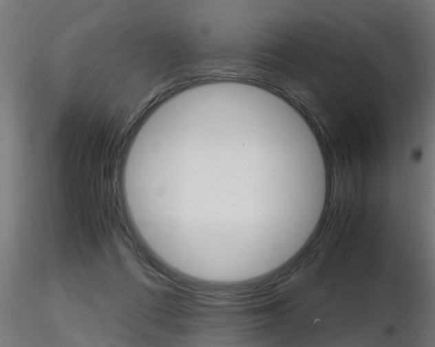 X0000116460312200912090933