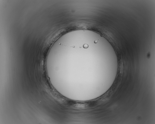 X0000116460314200912090933