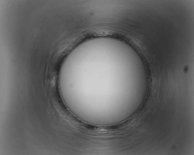X0000116460315200912090933