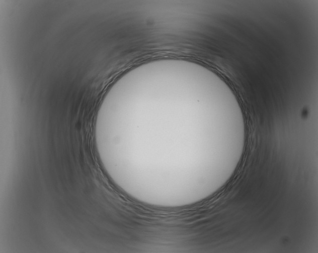 X0000116460317200912090933