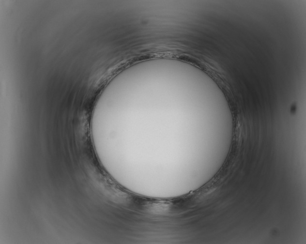 X0000116460318200912090933