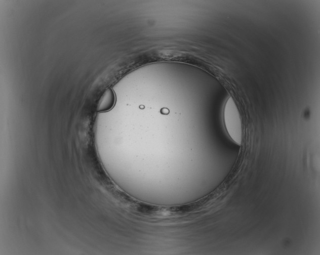 X0000116460319200912090933