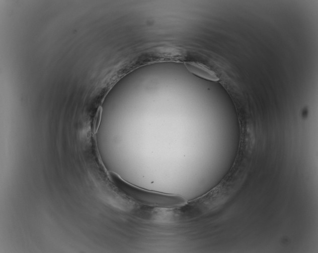 X0000116460320200912090933