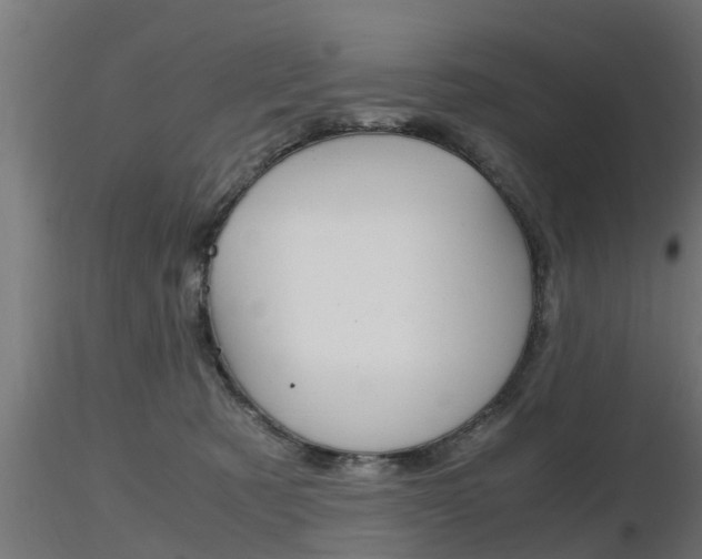 X0000116460321200912090933