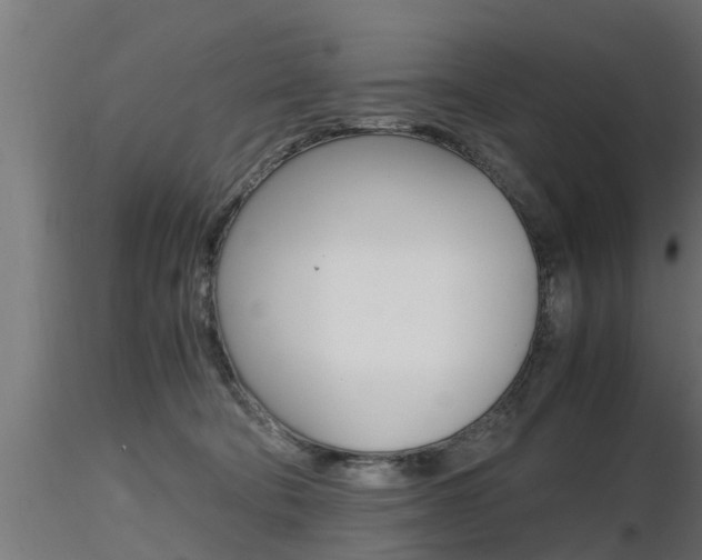 X0000116460322200912090933