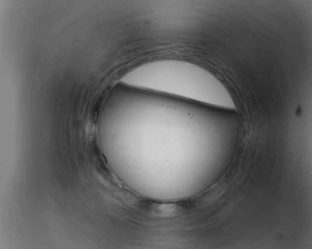 X0000116460324200912090933