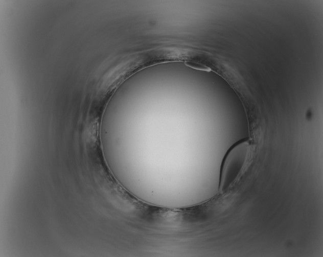 X0000116460325200912090933