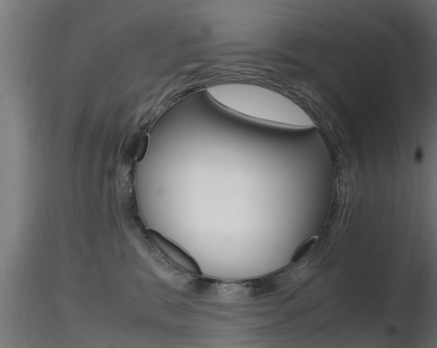 X0000116460327200912090933