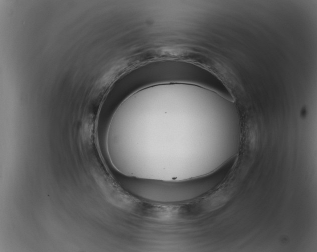 X0000116460328200912090933