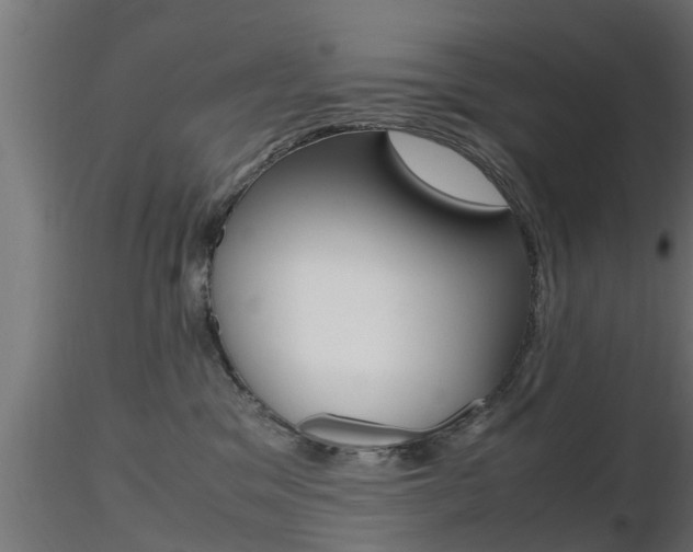 X0000116460329200912090933