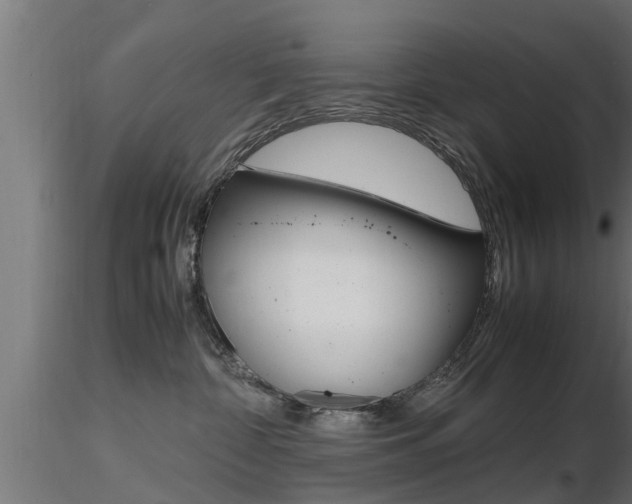 X0000116460332200912090933