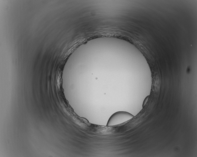 X0000116460334200912090933