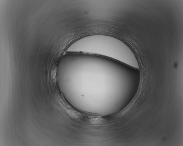 X0000116460336200912090933