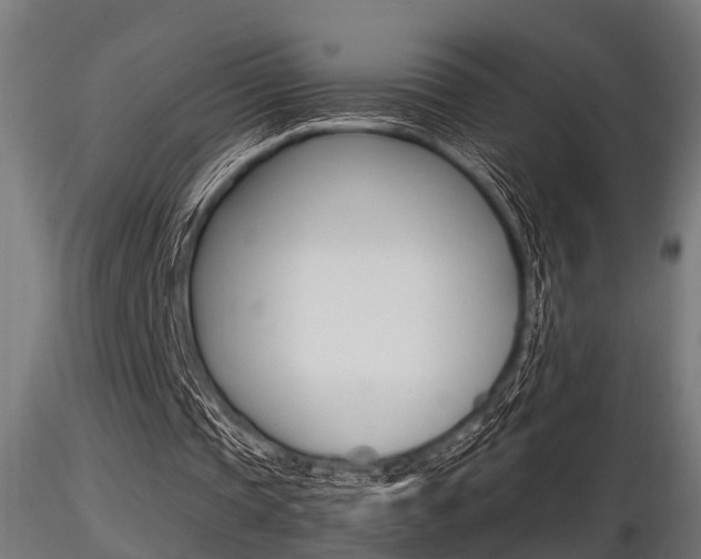 X0000116460337200912090932