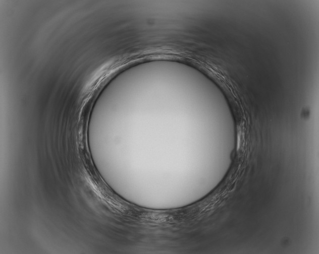 X0000116460339200912090932