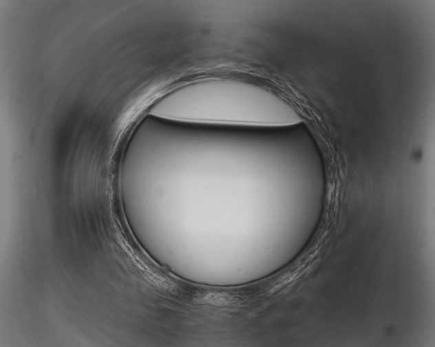 X0000116460341200912090932