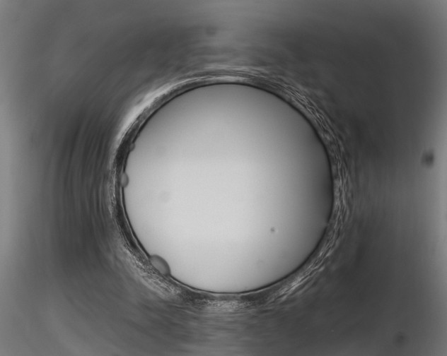 X0000116460342200912090932