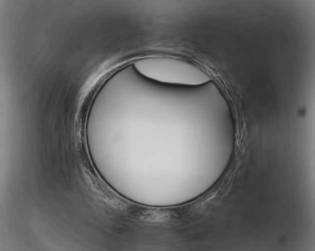 X0000116460343200912090932